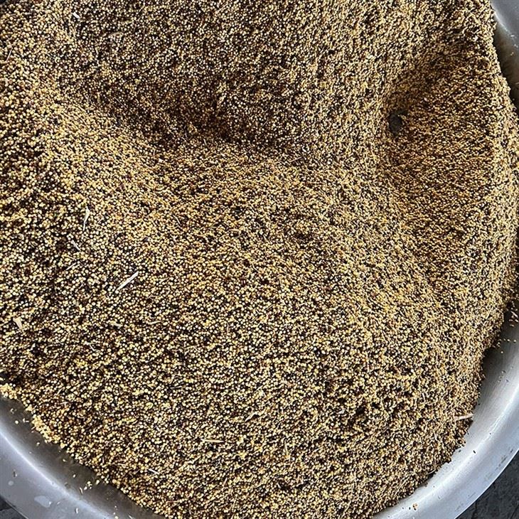 Olive Oil Press